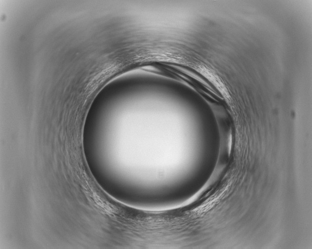 X0000088070481200705111410