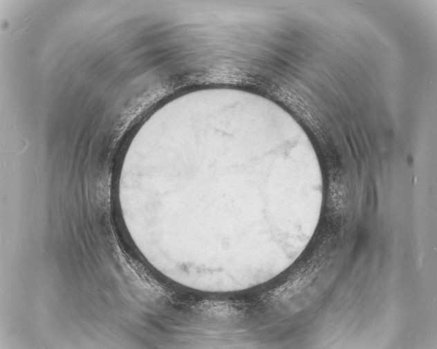 X0000088070534200705111408