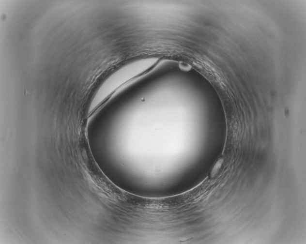 X0000088070546200705111408