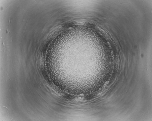 X0000088070609200705111408