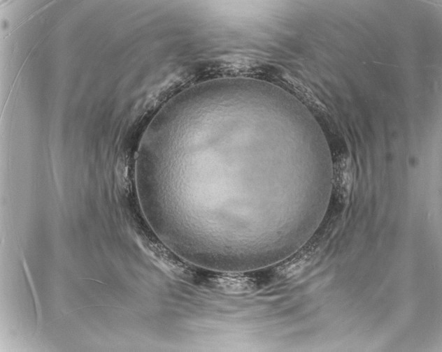 X0000088070615200705111408