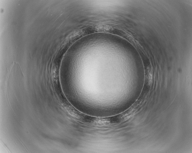 X0000088070619200705111407