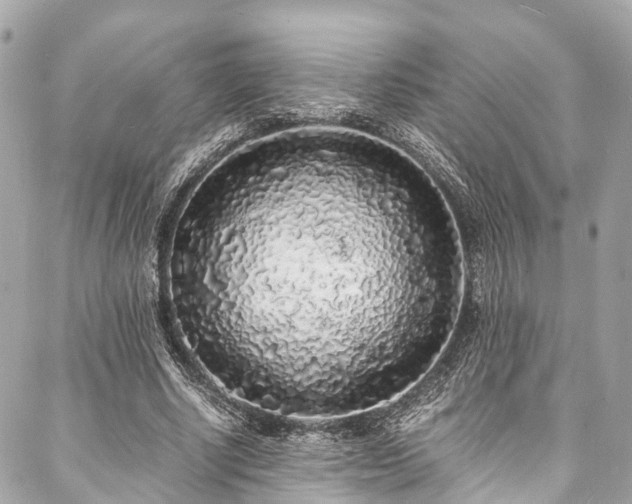 X0000088070634200705111407