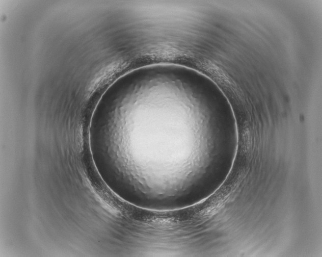 X0000088070638200705111407