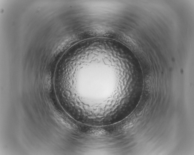 X0000088070642200705111407