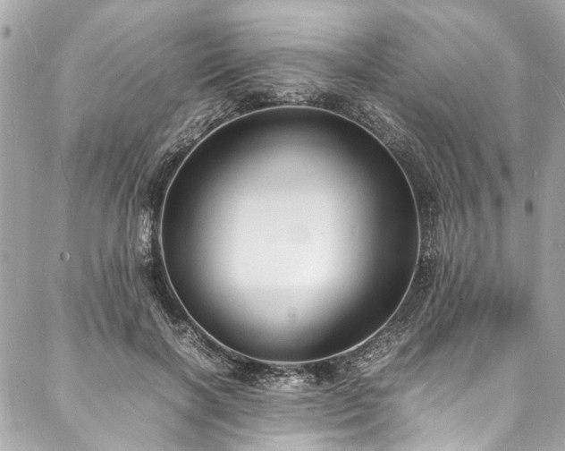 X0000088070646200705111407