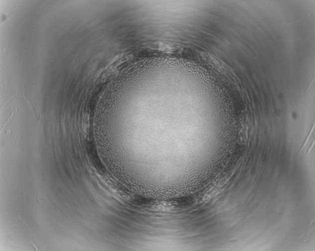 X0000088070656200705111407