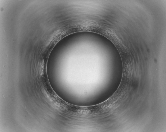 X0000088070694200705111406