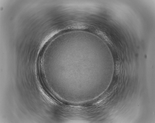 X0000088070726200705111405
