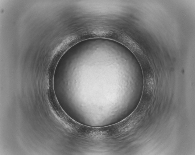 X0000088070734200705111405