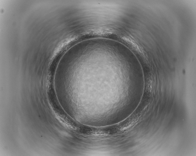 X0000088070736200705111405