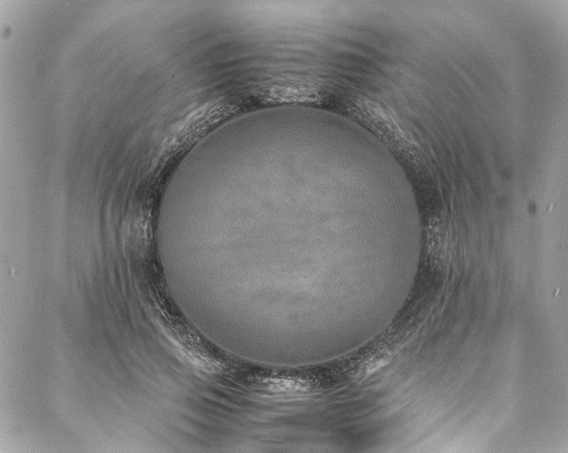 X0000088070741200705111405