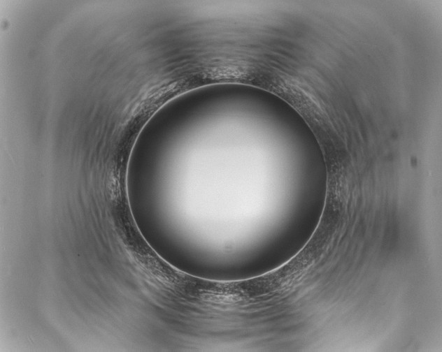 X0000088070743200705111405