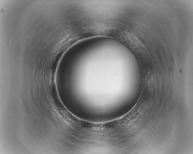 X0000088070744200705111405
