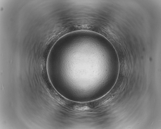 X0000088070747200705111405