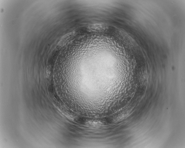 X0000088070749200705111406
