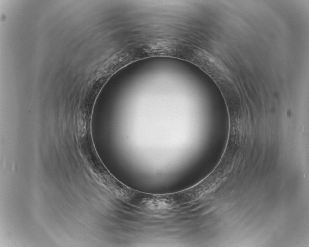 X0000088070751200705111406