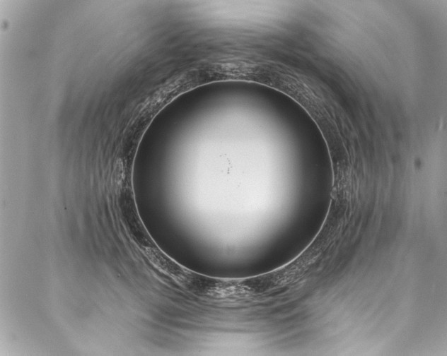 X0000088070752200705111406
