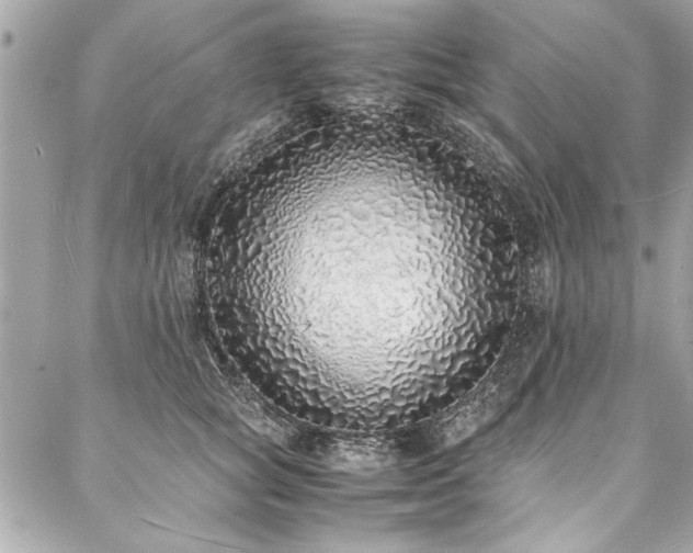 X0000088070757200705111406