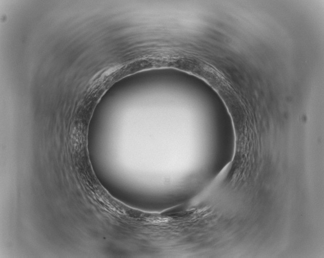 X0000088070773200705111405
