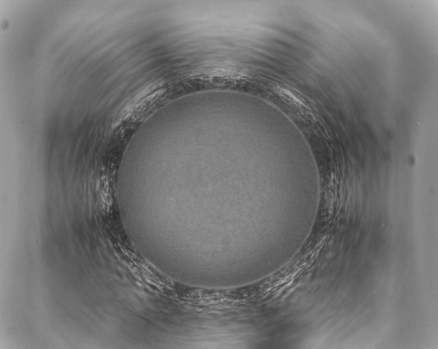 X0000088070774200705111405
