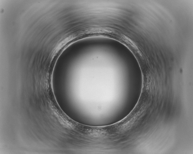X0000088070786200705111405