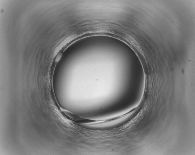 X0000088070789200705111405