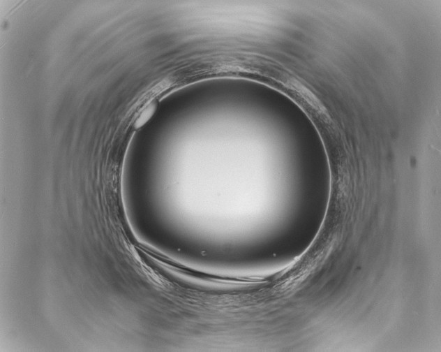 X0000088070793200705111405