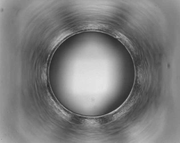 X0000088070794200705111405