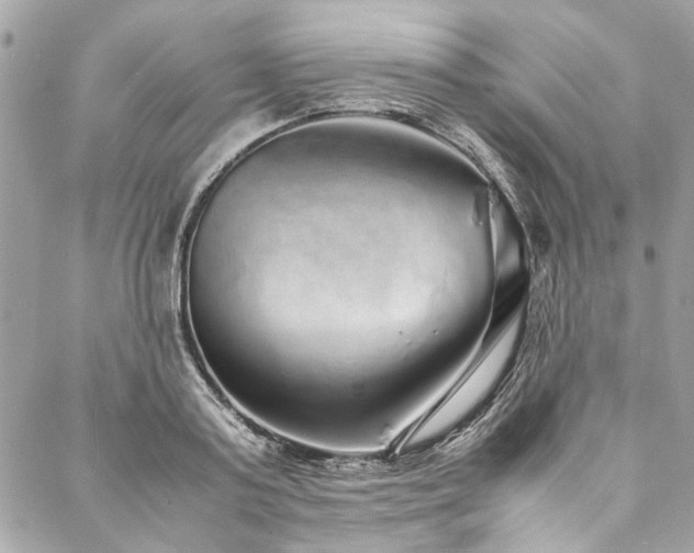 X0000088070795200705111405