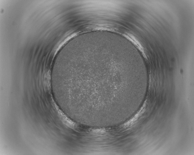 X0000088070798200705111405