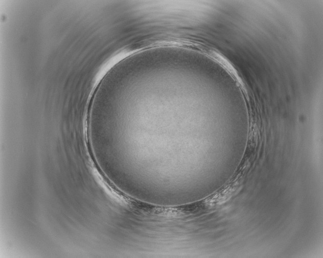 X0000088070811200705111404