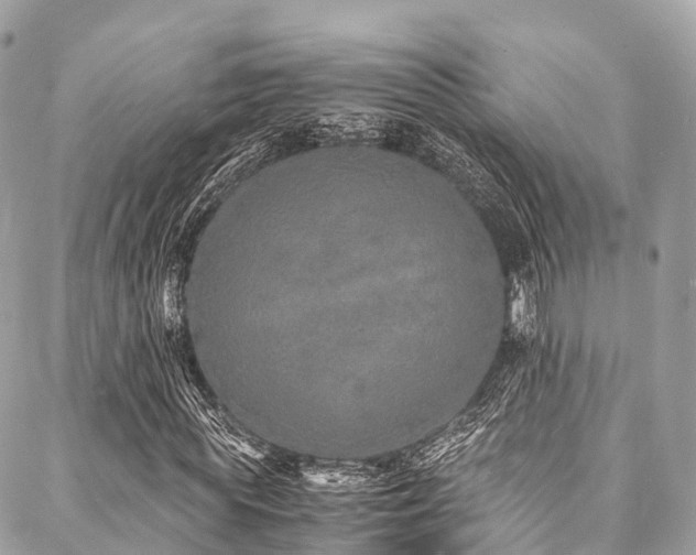 X0000088070819200705111404