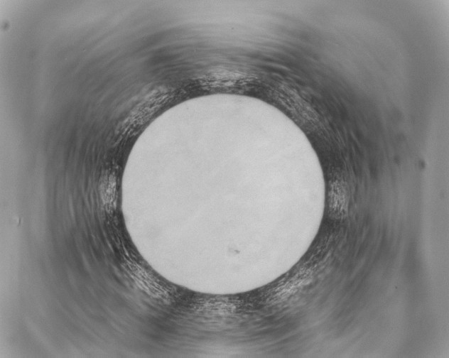 X0000088070820200705111404