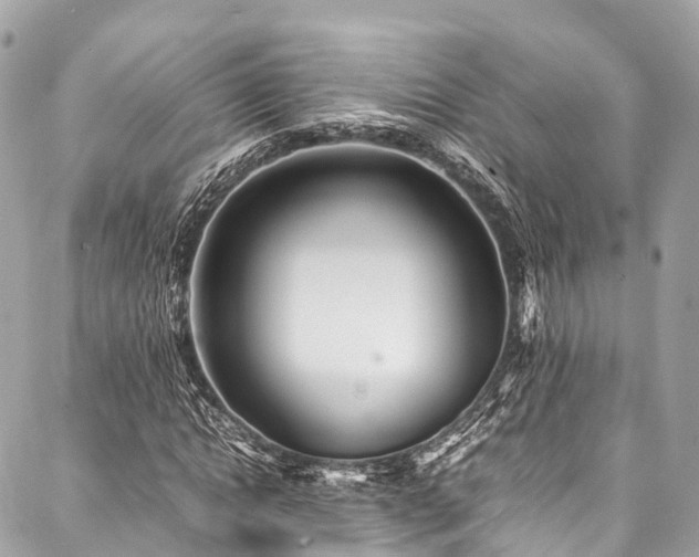 X0000088070822200705111404
