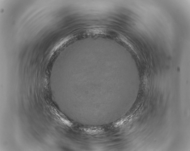 X0000088070823200705111404