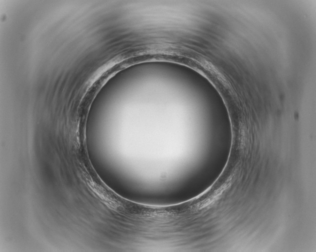 X0000088070830200705111404