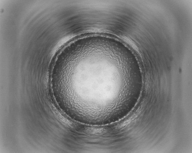 X0000088070831200705111404