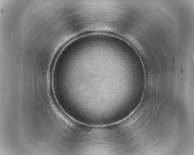 X0000088070840200705111404