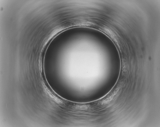 X0000088070843200705111404