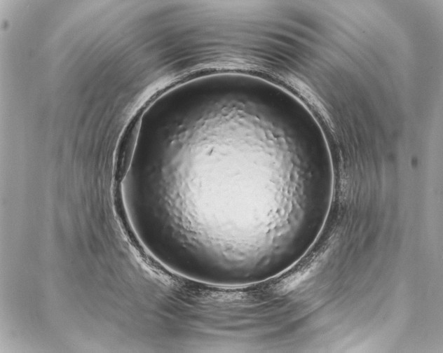 X0000088070845200705111404