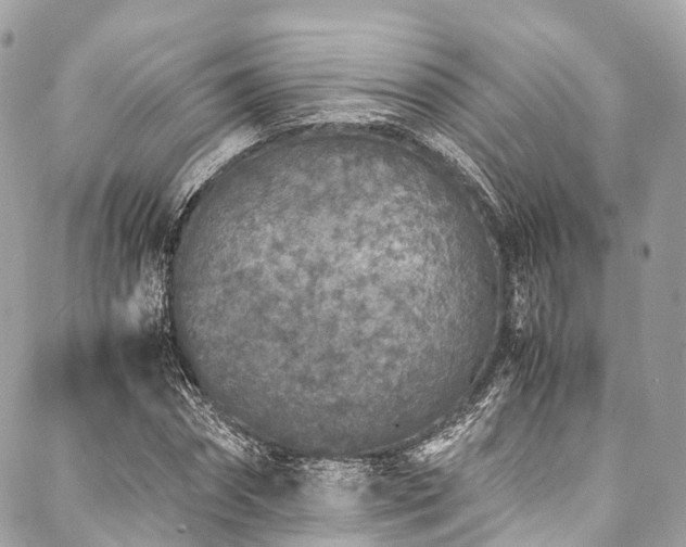 X0000088070874200705111403