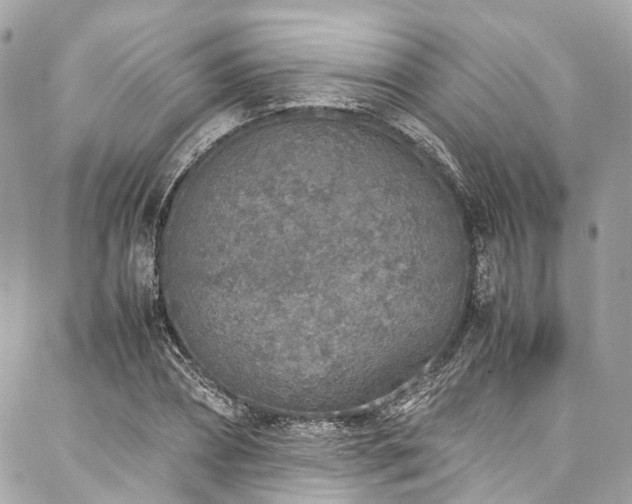 X0000088070882200705111403