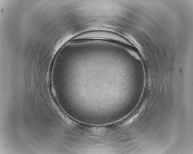 X0000088070893200705111403