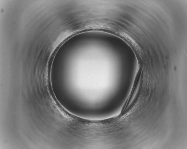 X0000088070894200705111403