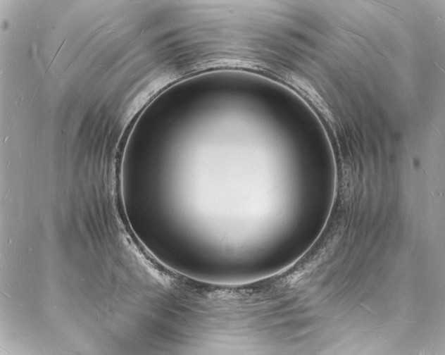 X0000088070898200705111403