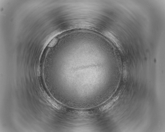 X0000088070924200705111402