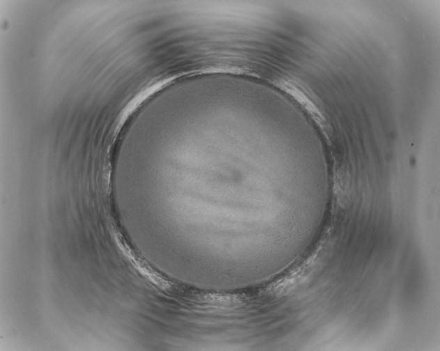 X0000088070933200705111402
