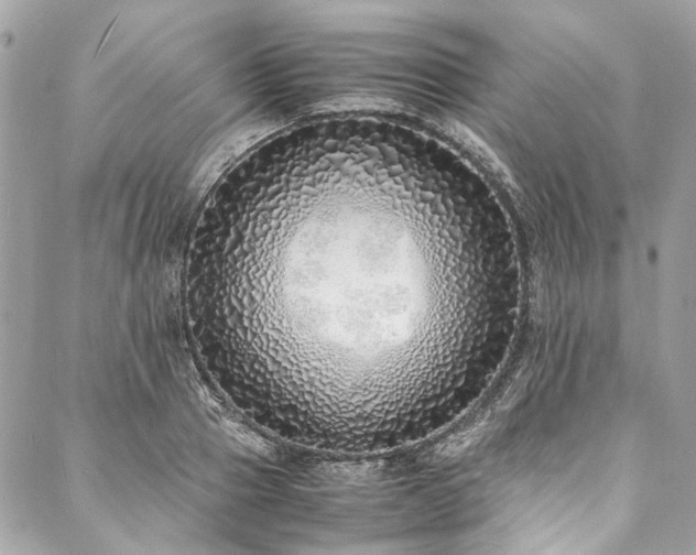 X0000088070937200705111402