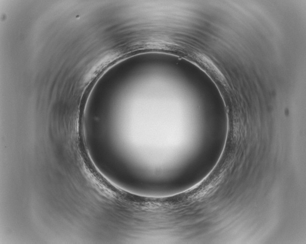 X0000088070938200705111402